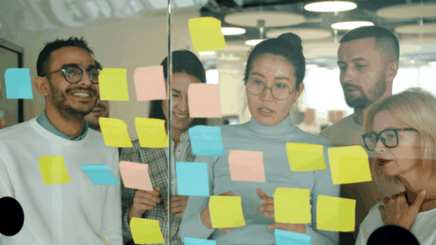 spaced repetition, algorithm adaptation, professional training, memory retention, data tracking